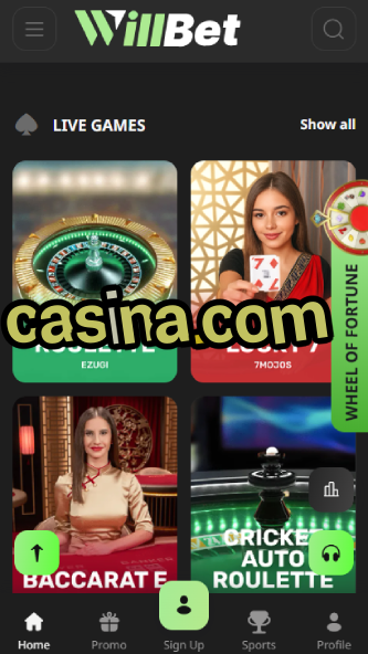 Casina.com - Premium Online Casino Destination-96ccasino.ydblkf.net